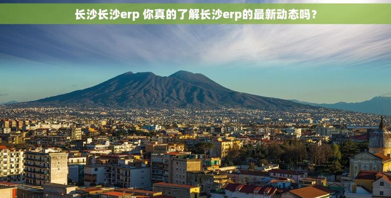 长沙长沙erp 你真的了解长沙erp的最新动态吗？
