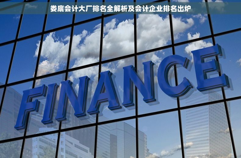 娄底会计大厂排名全解析及会计企业排名出炉