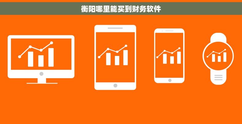 衡阳哪里能买到财务软件
