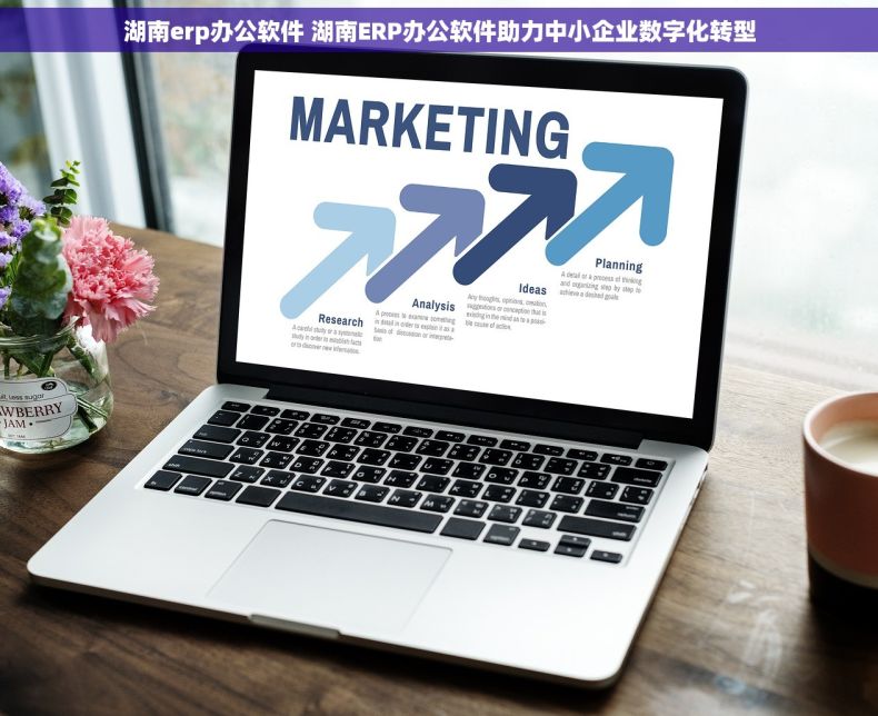 湖南erp办公软件 湖南ERP办公软件助力中小企业数字化转型