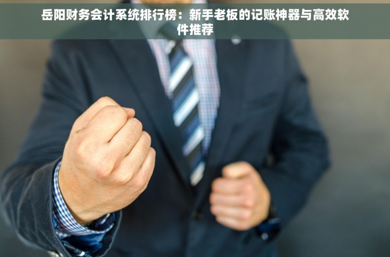 岳阳财务会计系统排行榜：新手老板的记账神器与高效软件推荐