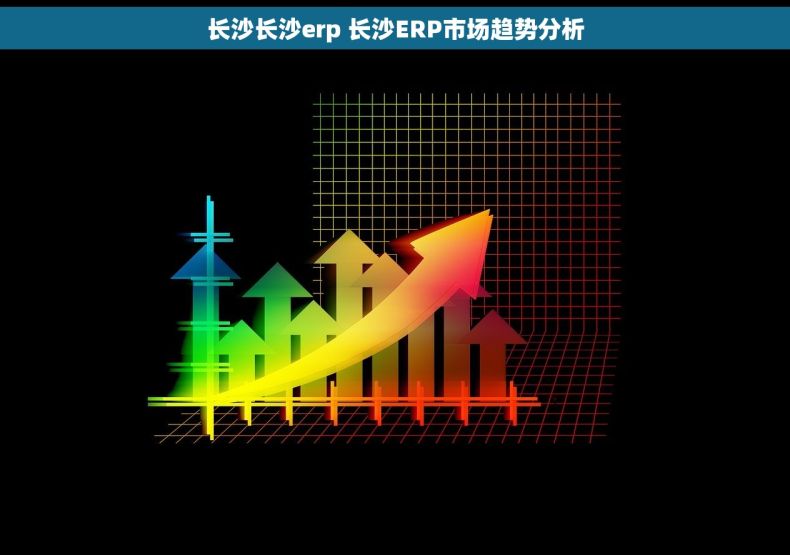 长沙长沙erp 长沙ERP市场趋势分析