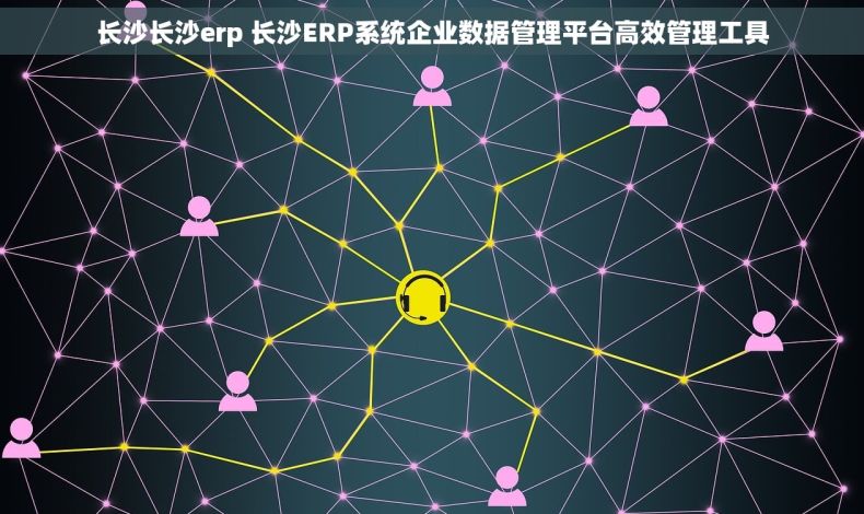 长沙长沙erp 长沙ERP系统企业数据管理平台高效管理工具