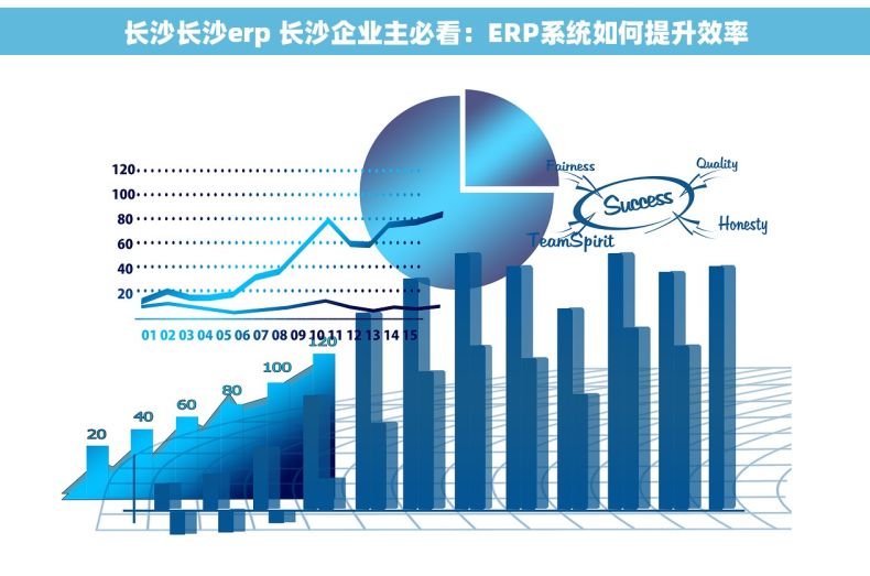 长沙长沙erp 长沙企业主必看：ERP系统如何提升效率