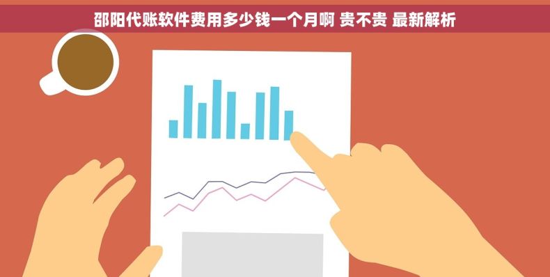 邵阳代账软件费用多少钱一个月啊 贵不贵 最新解析