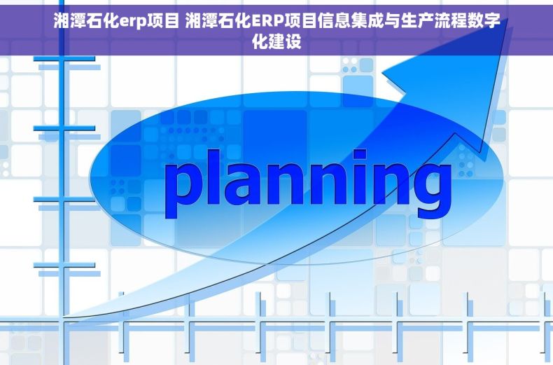 湘潭石化erp项目 湘潭石化ERP项目信息集成与生产流程数字化建设