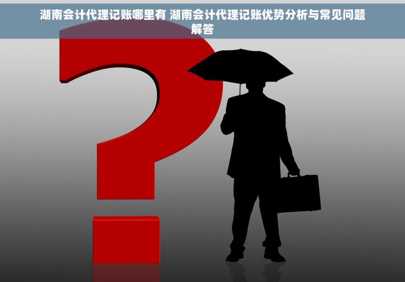 湖南会计代理记账哪里有 湖南会计代理记账优势分析与常见问题解答