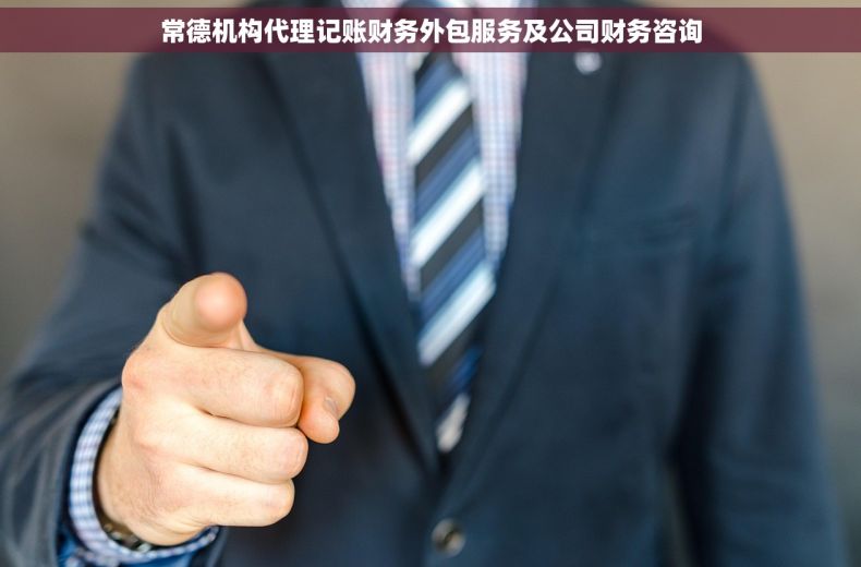 常德机构代理记账财务外包服务及公司财务咨询