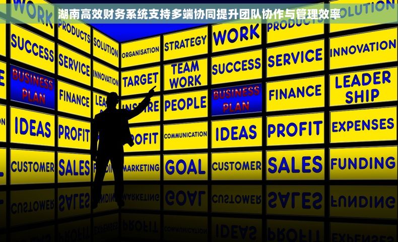 湖南高效财务系统支持多端协同提升团队协作与管理效率