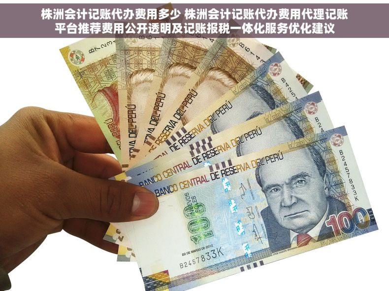株洲会计记账代办费用多少 株洲会计记账代办费用代理记账平台推荐费用公开透明及记账报税一体化服务优化建议