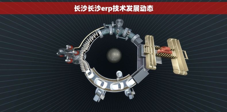 长沙长沙erp技术发展动态