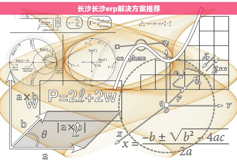 长沙长沙erp解决方案推荐