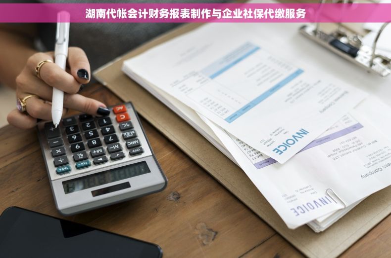 湖南代帐会计财务报表制作与企业社保代缴服务