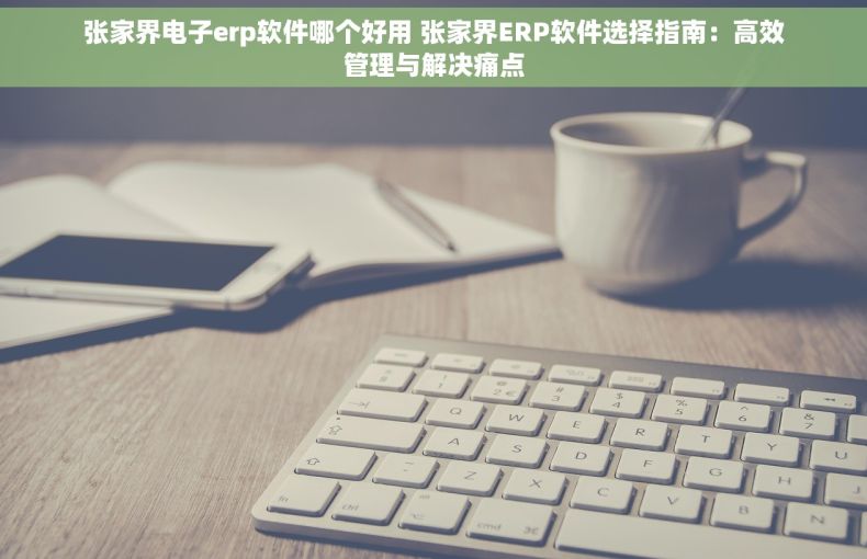 张家界电子erp软件哪个好用 张家界ERP软件选择指南：高效管理与解决痛点