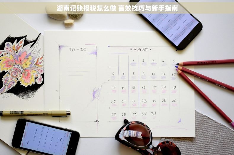 湖南记账报税怎么做 高效技巧与新手指南