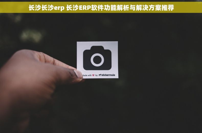 长沙长沙erp 长沙ERP软件功能解析与解决方案推荐