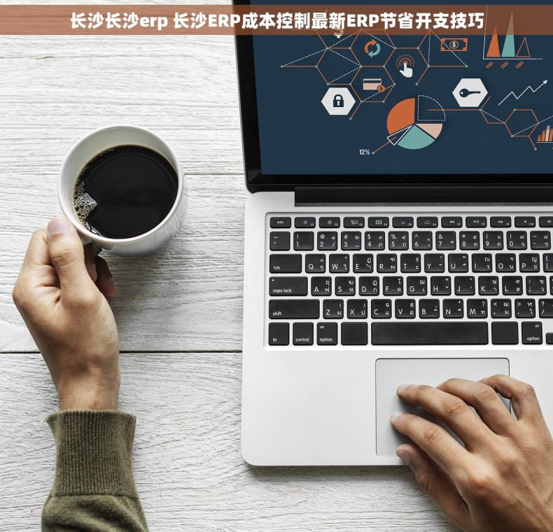 长沙长沙erp 长沙ERP成本控制最新ERP节省开支技巧