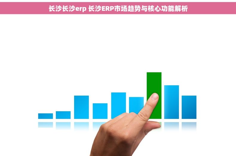 长沙长沙erp 长沙ERP市场趋势与核心功能解析