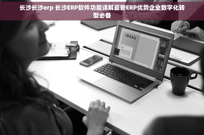 长沙长沙erp 长沙ERP软件功能详解最新ERP优势企业数字化转型必备