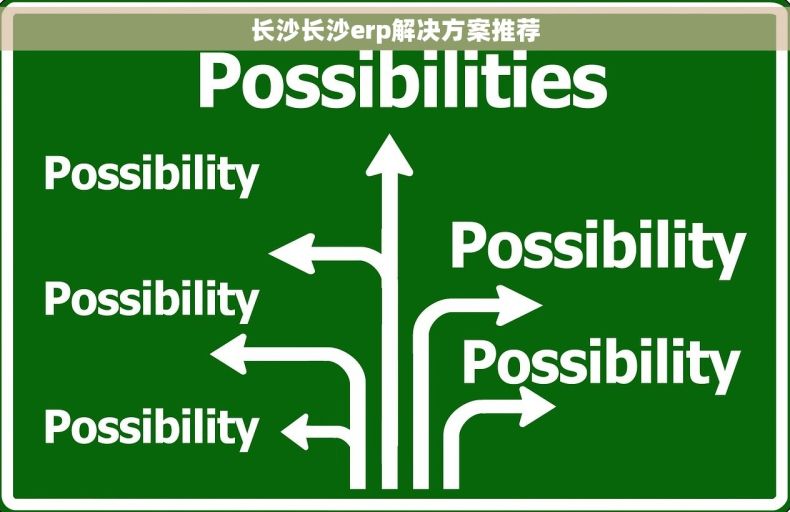 长沙长沙erp解决方案推荐