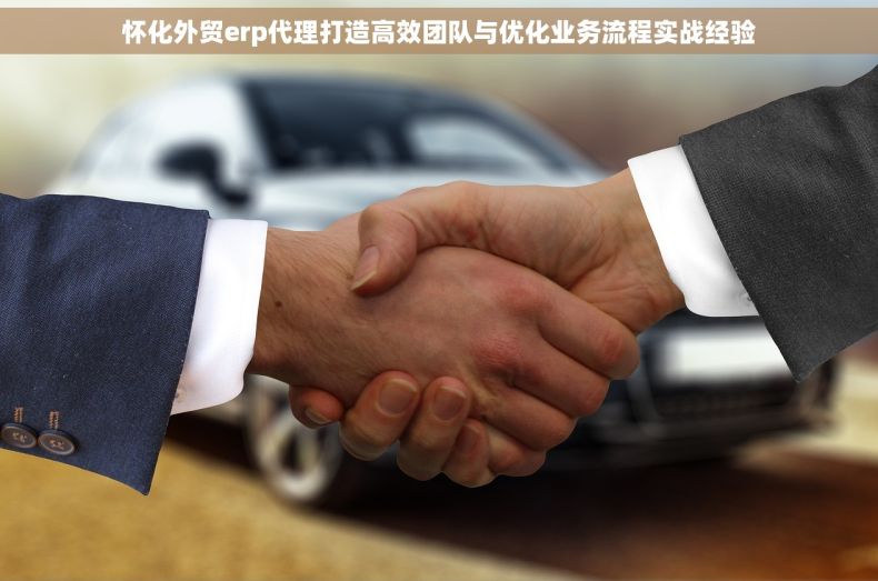 怀化外贸erp代理打造高效团队与优化业务流程实战经验