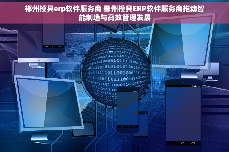郴州模具erp软件服务商 郴州模具ERP软件服务商推动智能制造与高效管理发展