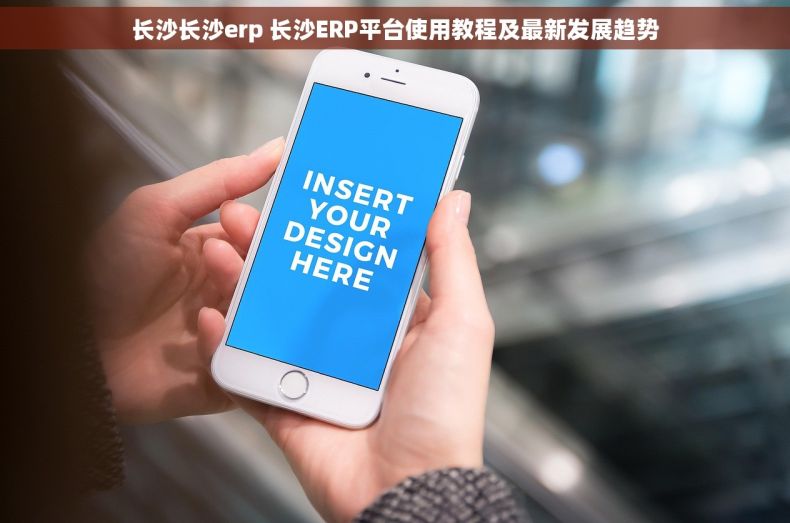 长沙长沙erp 长沙ERP平台使用教程及最新发展趋势