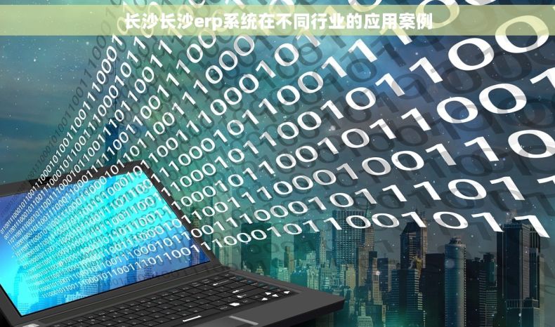 长沙长沙erp系统在不同行业的应用案例