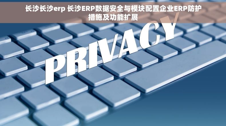 长沙长沙erp 长沙ERP数据安全与模块配置企业ERP防护措施及功能扩展