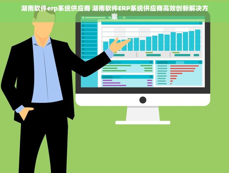 湖南软件erp系统供应商 湖南软件ERP系统供应商高效创新解决方案