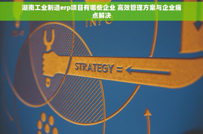 湖南工业制造erp项目有哪些企业 高效管理方案与企业痛点解决