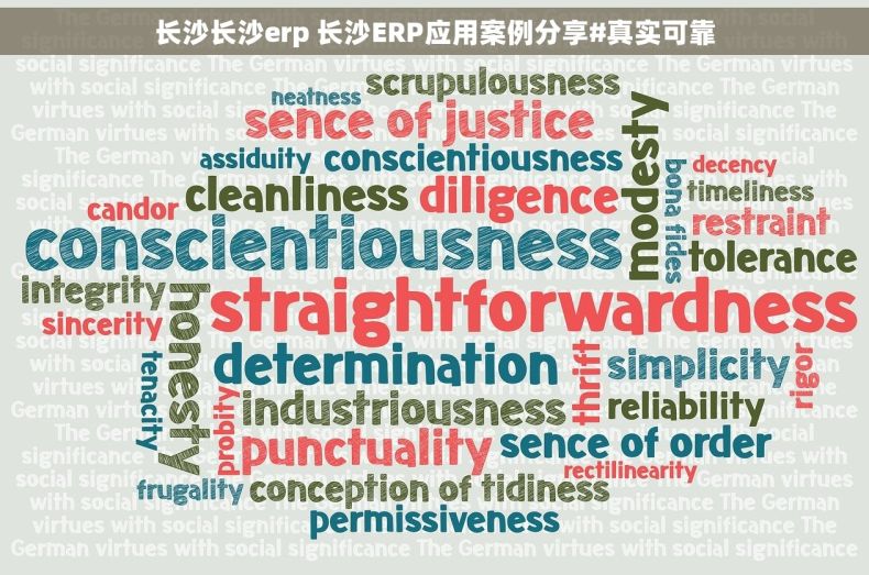 长沙长沙erp 长沙ERP应用案例分享#真实可靠