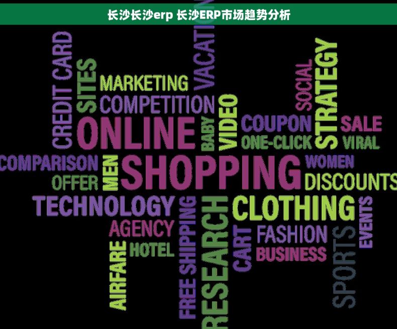 长沙长沙erp 长沙ERP市场趋势分析