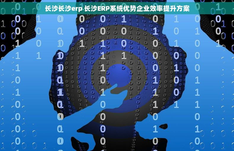 长沙长沙erp 长沙ERP系统优势企业效率提升方案