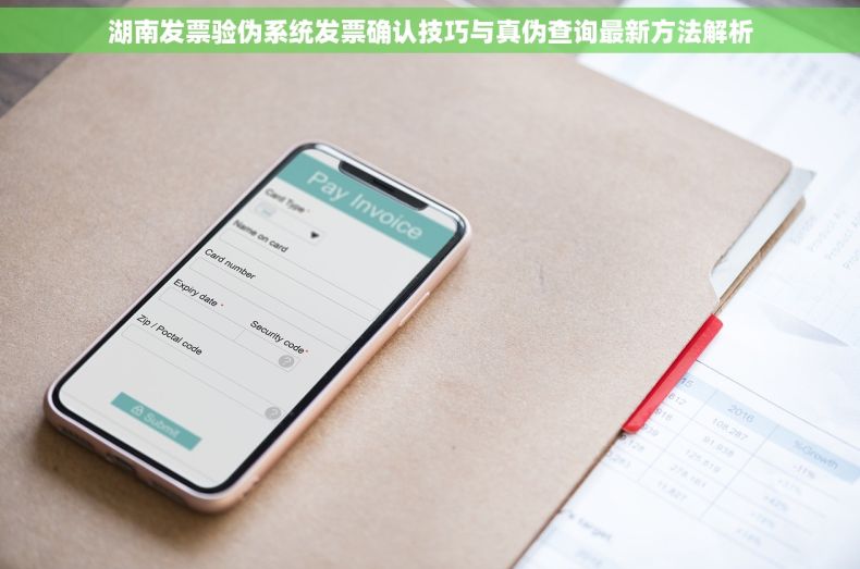 湖南发票验伪系统发票确认技巧与真伪查询最新方法解析