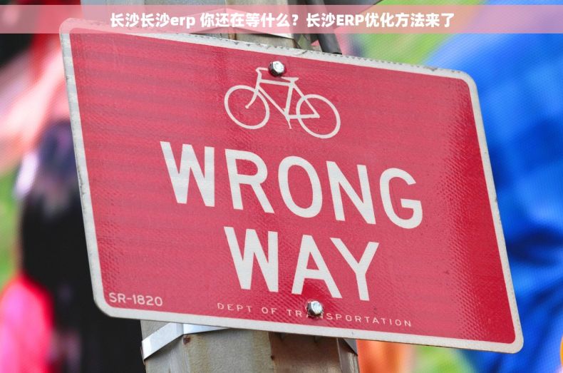 长沙长沙erp 你还在等什么？长沙ERP优化方法来了