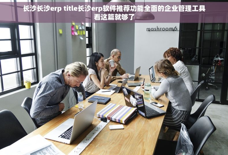 长沙长沙erp title长沙erp软件推荐功能全面的企业管理工具看这篇就够了
