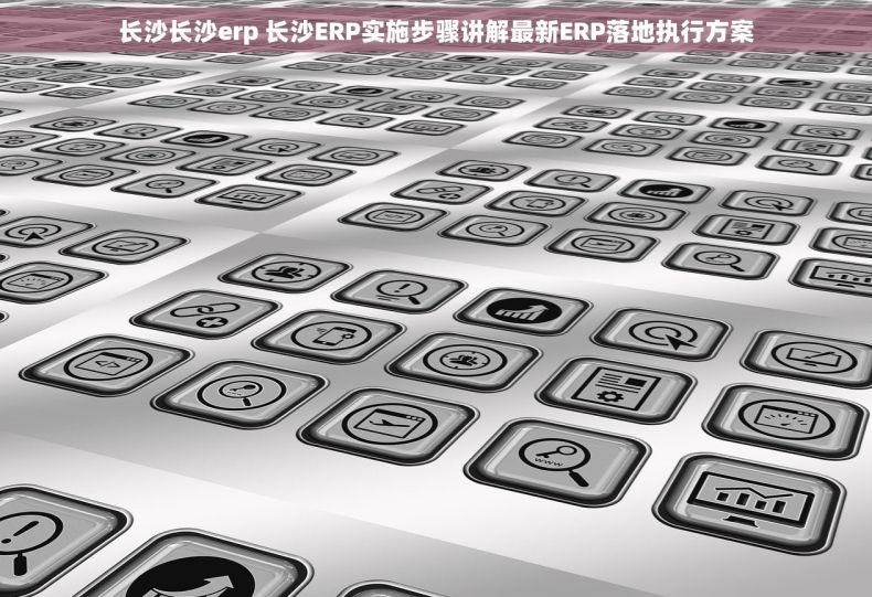 长沙长沙erp 长沙ERP实施步骤讲解最新ERP落地执行方案