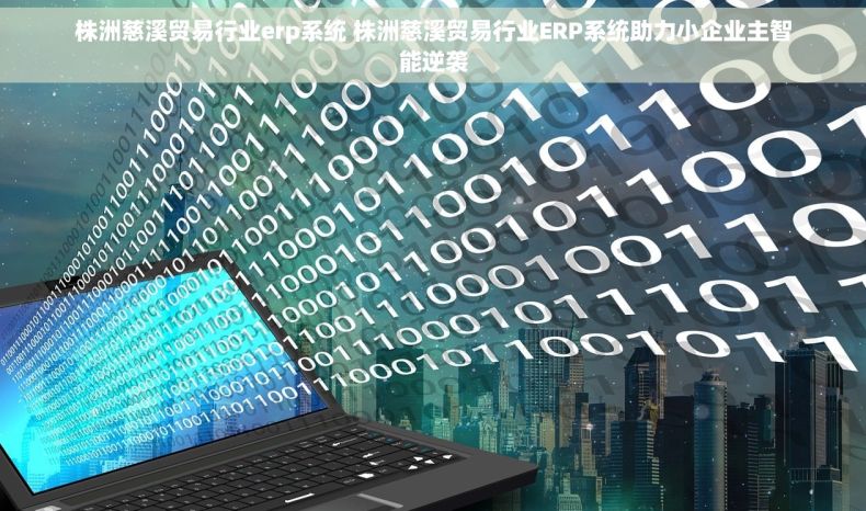 株洲慈溪贸易行业erp系统 株洲慈溪贸易行业ERP系统助力小企业主智能逆袭