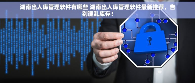 湖南出入库管理软件有哪些 湖南出入库管理软件最新推荐，告别混乱库存！