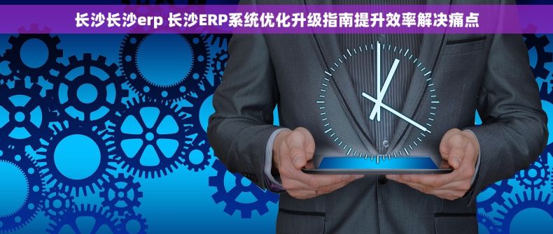 长沙长沙erp 长沙ERP系统优化升级指南提升效率解决痛点