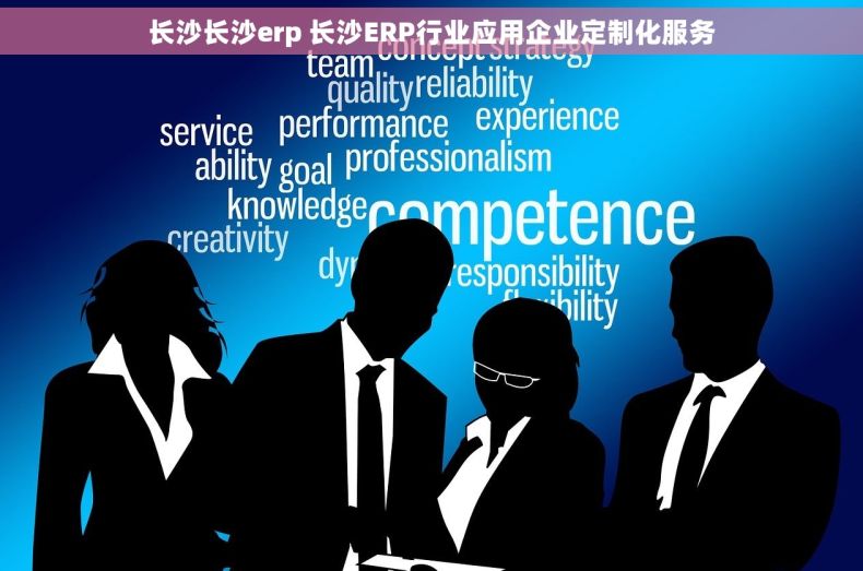 长沙长沙erp 长沙ERP行业应用企业定制化服务