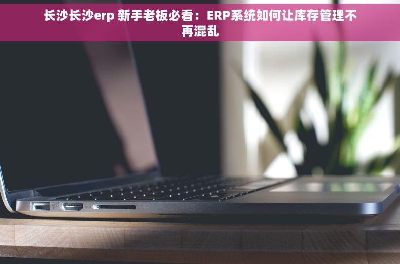 长沙长沙erp 新手老板必看：ERP系统如何让库存管理不再混乱