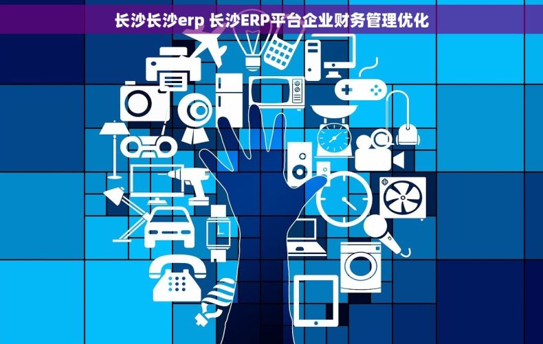 长沙长沙erp 长沙ERP平台企业财务管理优化