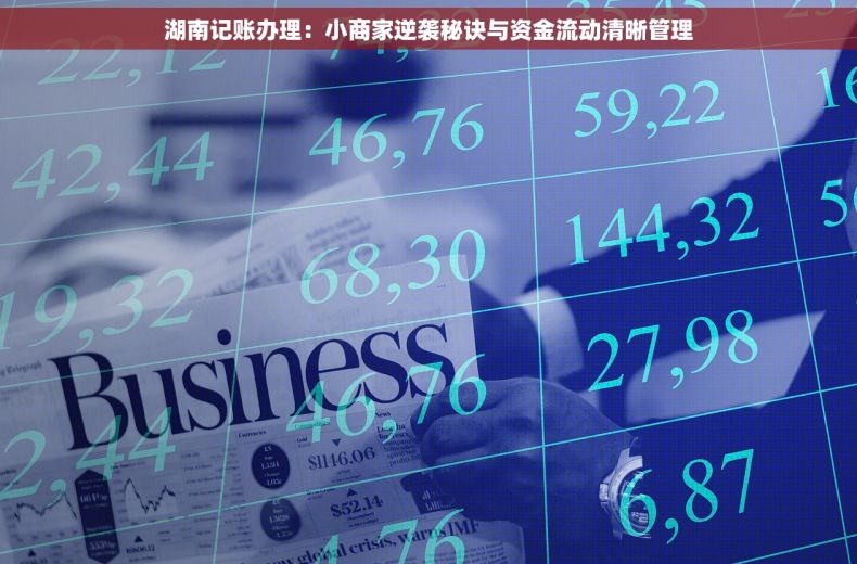 湖南记账办理：小商家逆袭秘诀与资金流动清晰管理