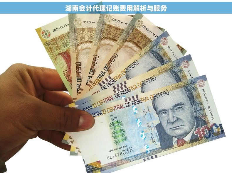湖南会计代理记账费用解析与服务