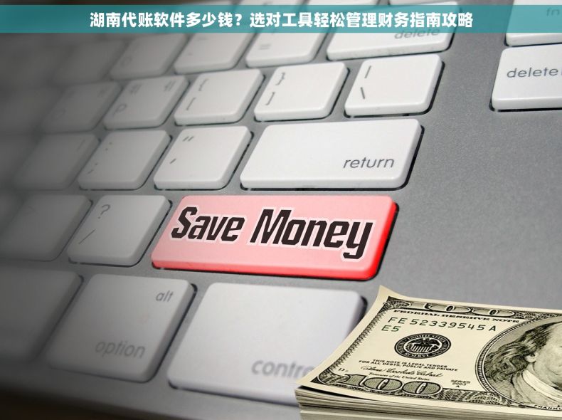 湖南代账软件多少钱？选对工具轻松管理财务指南攻略
