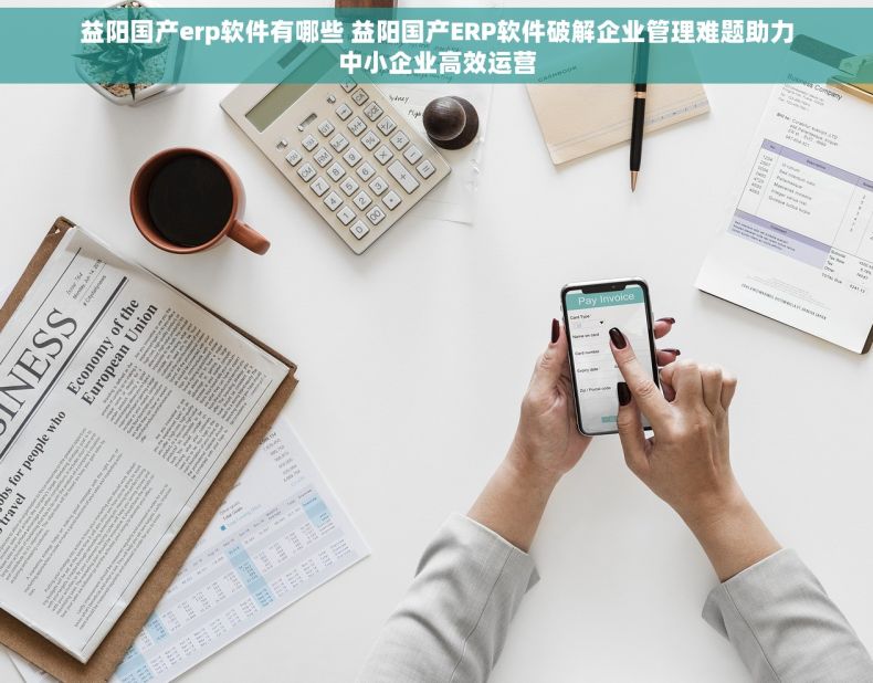 益阳国产erp软件有哪些 益阳国产ERP软件破解企业管理难题助力中小企业高效运营