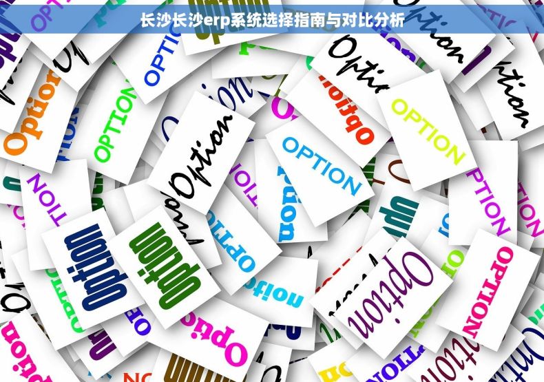 长沙长沙erp系统选择指南与对比分析