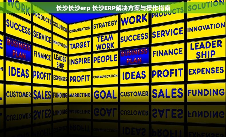 长沙长沙erp 长沙ERP解决方案与操作指南